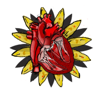 Corazón 1