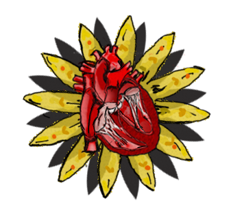 Corazón 8